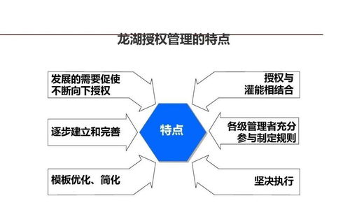 龍湖集團 以精細化管理鑄就卓越企業(yè)運營典范